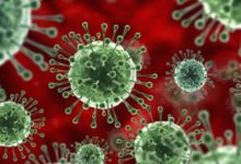 Фото - Ученые нашли эффективный способ победить коронавирус