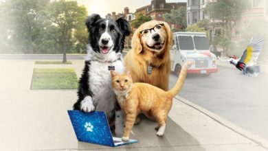 Фото - 10 лет спустя: Появился трейлер третьей части семейной комедии «Кошки против собак»