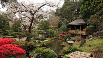 Фото - 15 идей для создания сада в японском стиле