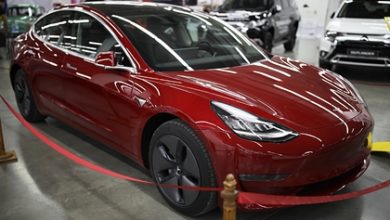 Фото - Акции Tesla потеряли одну пятую стоимости