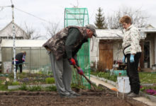 Фото - Каждый пятый россиянин заявил о желании стать фермером — опрос