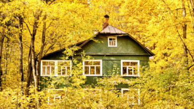 Фото - Дача и коттедж в Подмосковье: насколько выгодно покупать дом осенью