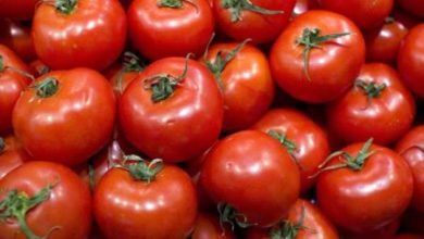 Фото - Как правильно есть помидоры, чтобы они защищали от рака и болезней сердца