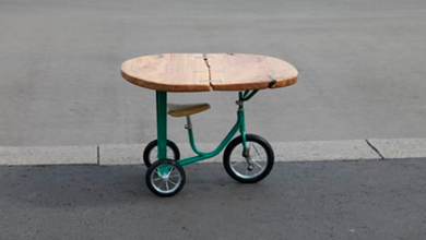 Фото - Лариса Гузеева «поможет» продать стол-велосипед