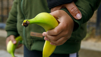 Фото - Миру предрекли дефицит бананов