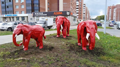 Фото - На улице российского города появились «слепые слоны»