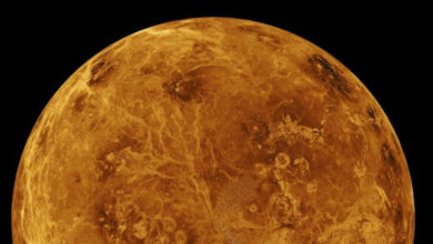 Фото - На Венере есть газ, производимый микробами. Ученые нашли инопланетян?