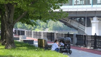 Фото - Названо число заразившихся коронавирусом детей в России: Жизнь