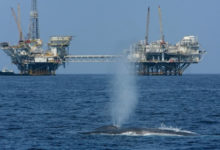 Фото - Нефть дешевеет на ожиданиях от встречи ОПЕК+