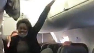 Фото - Пассажирка самолёта закатила истерику и напугала всех своей одержимостью