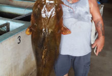 Фото - Поймав крупного сома, рыболов установил рекорд штата