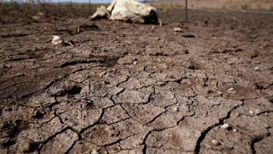 Фото - Предсказана глобальная катастрофическая засуха