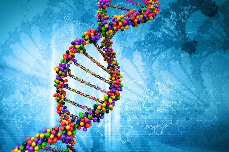 Редактирование генома. Величайшее благо или абсолютное зло? - Hi-News.ru