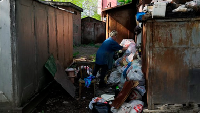 Фото - Россиянка поселила полчища мышей в квартире своего соседа