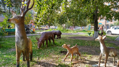 Фото - Российский охранник превратил двор в «зоопарк»