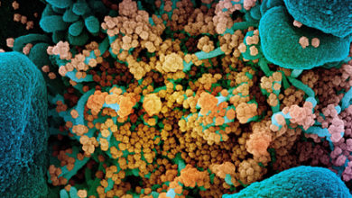 Фото - Создан эффективный препарат против коронавируса