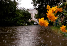 Фото - Создателя «вечной» лужи заставили уволиться