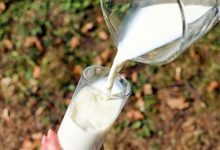 Фото - Способность переваривать молоко оказалась генетической мутацией: История