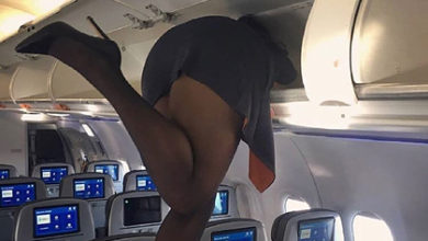 Фото - Стюардесса в мини-юбке поделилась откровенным фото на борту самолета