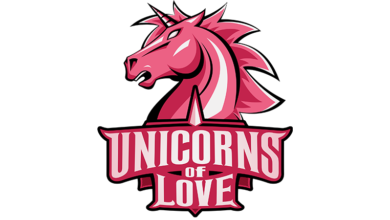 Фото - Unicorns of Love заняли второе место в группе на 2020 World Championship по LoL