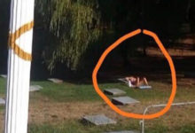 Фото - В Сочи туристка позагорала на могиле и возмутила местных жителей