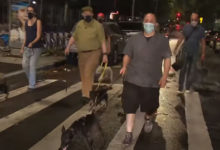 Фото - Владельцы собак объединились в ночной патруль по борьбе с крысами