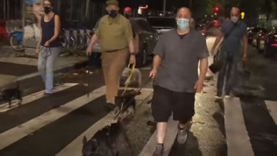 Фото - Владельцы собак объединились в ночной патруль по борьбе с крысами