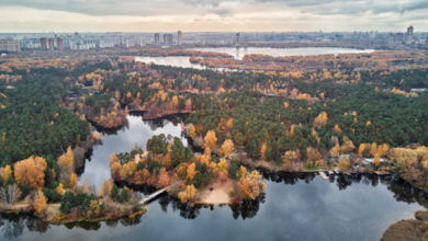 Фото - Почему московская элита предпочитает жить в Серебряном Бору