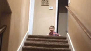 Фото - Бесстрашная девочка нашла быстрый способ спускаться по лестнице