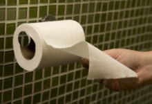 Фото - Что использовали люди до изобретения туалетной бумаги?