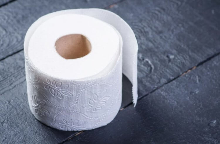 Что использовали люди до изобретения туалетной бумаги? - Hi-News.ru