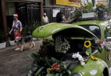 Фото - Чтобы заработать деньги, женщина превратила машину в цветочный магазин