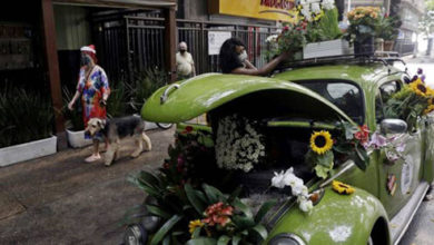 Фото - Чтобы заработать деньги, женщина превратила машину в цветочный магазин