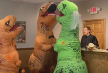 Фото - Двое влюблённых динозавров узаконили свои отношения