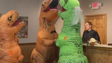 Фото - Двое влюблённых динозавров узаконили свои отношения