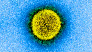 Фото - Испытания вакцин против коронавируса раскритиковали