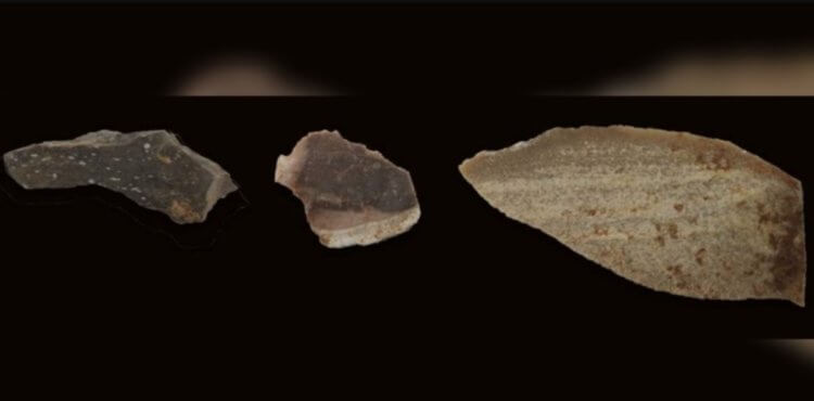 Как древние люди улучшали свои каменные орудия? - Hi-News.ru