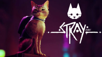 Фото - Кибернетический город, стелс и дружелюбный дрон: первые подробности Stray — приключения о бродячем коте