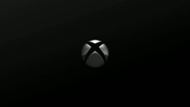 Фото - Microsoft переживает из-за нехватки игр для всей семьи в библиотеке Xbox и вынашивает планы экспансии на хромбуки