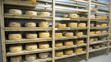 Фото - Назван самый популярный сыр у россиян