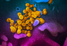 Фото - Названы сроки жизни коронавируса на человеческой коже