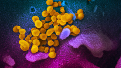 Фото - Названы сроки жизни коронавируса на человеческой коже