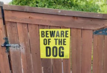 Фото - Незваным визитёрам стоит опасаться потусторонней собаки