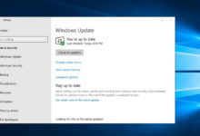Фото - Новая сборка Windows 10 (20H2) с большим количеством исправлений стала доступна инсайдерам