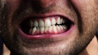 Фото - Почему зубы — это не кости?