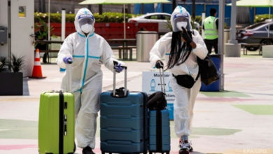 Фото - Почти 200 аэропортам Европы грозит закрытие из-за пандемии