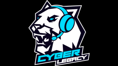 Фото - Подставной 322-матч между Cyber Legacy и ViKin.gg. Всё ли так однозначно