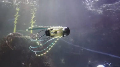 Фото - Робот-кальмар умеет плавать под водой и снимать морских обитателей