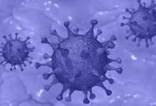 Фото - РПЛ сообщила о случаях заражения коронавирусом в «Краснодаре»