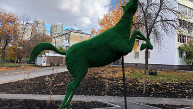Фото - Скульптуру лошади насадили на штырь ради нового двора